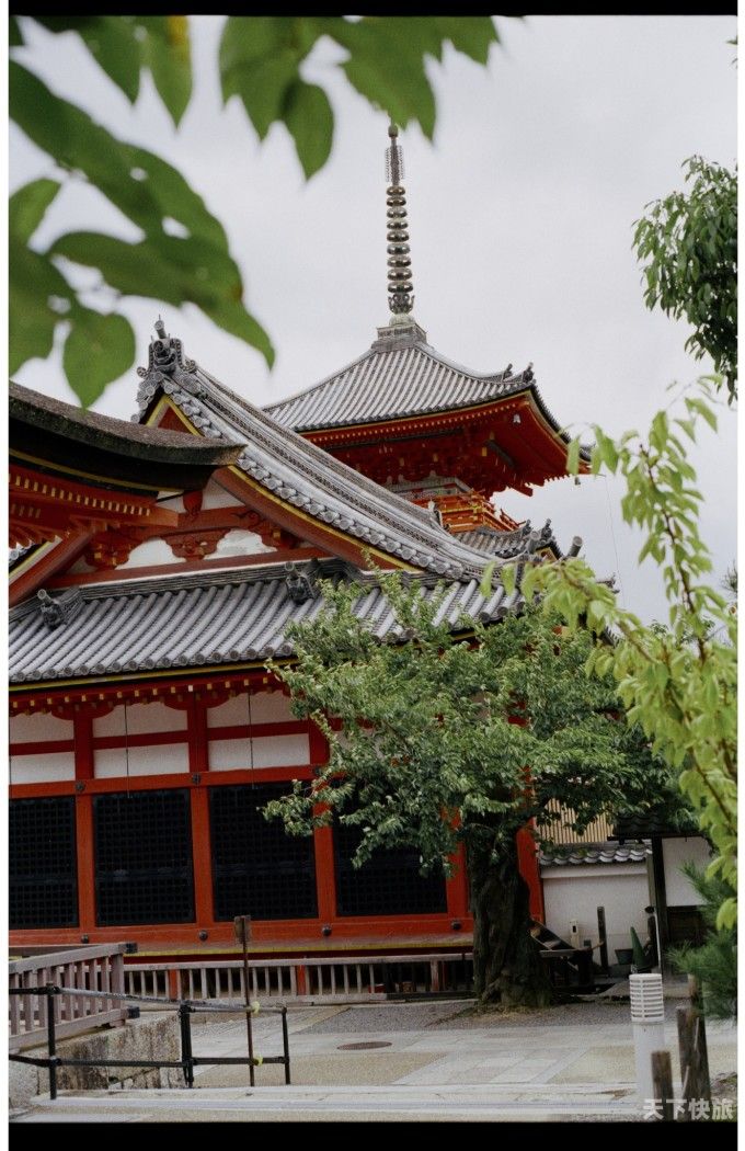 京都旅游群（京都一日游）