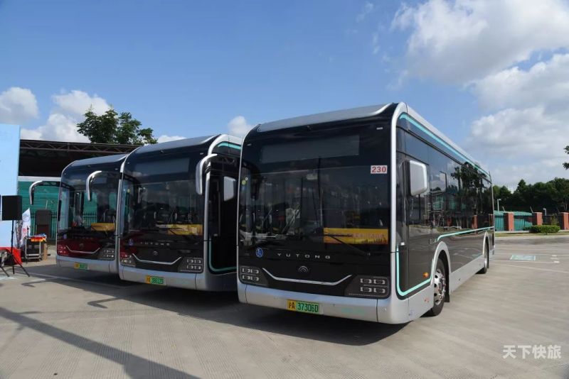 上海可换乘206的公交车（上海206公交车电话号码多少）
