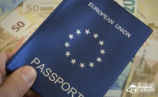 欧洲的签证要求吗（欧洲国家签证要求）