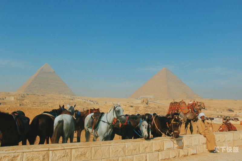 去埃及旅游必备好物（去埃及买什么）