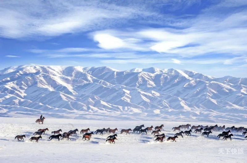新疆冰雪旅游主题活动总结（冰雪旅游活动方案）