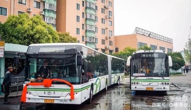 上海公交车实图（上海公交车车型大全）