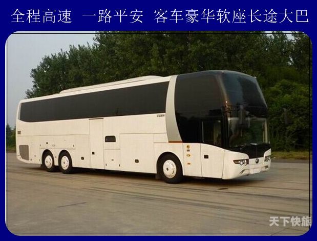 上海旅游大巴咨询（上海旅游大巴车）