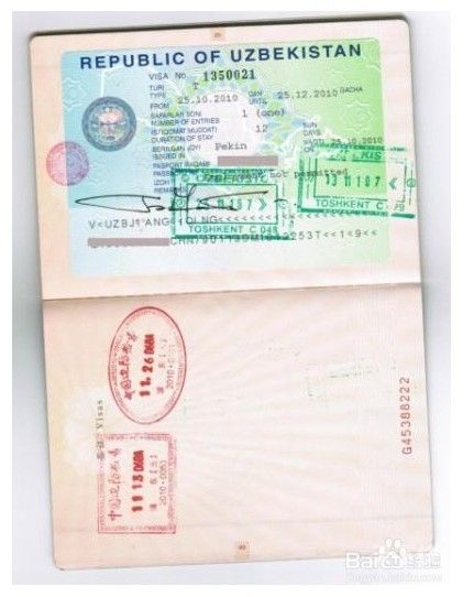 弄假签证（签证做假资料的后果）