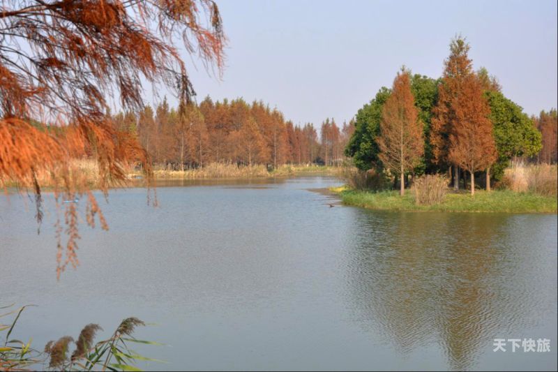 青浦哪里有森林公园（上海青浦郊野森林公园游园时间多少）